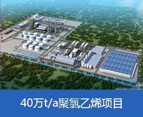 青岛海湾化学有限公司年产40万吨聚氯乙烯项目&仓储及污水处理项目—鸟瞰图